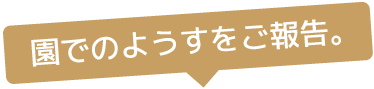 園でのようすをご報告